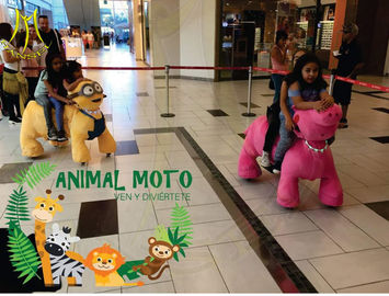 Hansel high quality  latest coin operated electrical animal toy car for mall supplier