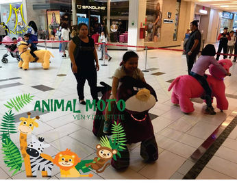 Hansel animal mechanicals games ride on kids animals scooter with coin operated supplier